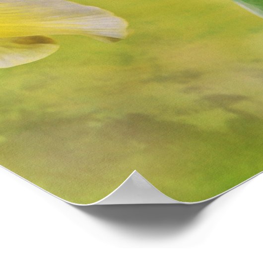 Poster Photographie d'Iris (Coin)