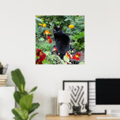 Poster Photographie du jardin d'été de chat noir (Bureau à domicile)