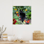 Poster Photographie du jardin d'été de chat noir (Cuisine)