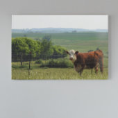 Poster Photographie du Midwest | Belle vache et paysage
