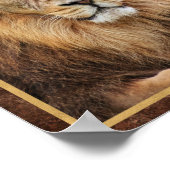 Poster Photographie du Roi Lion (Coin)