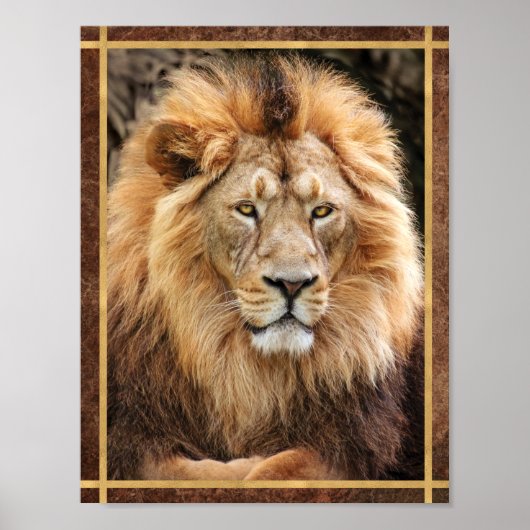 Poster Photographie du Roi Lion (Devant)