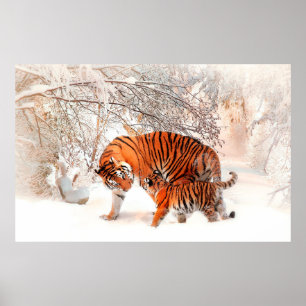 Poster Photographie d'un tigre et d'un ourson jouant dans