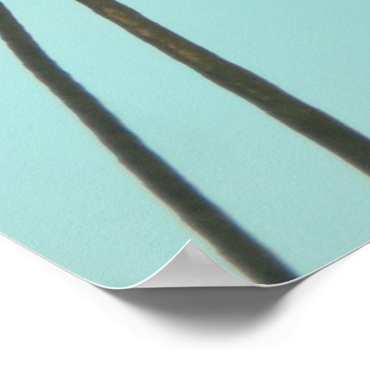 Poster Photographie en angle bas cocotier (Coin)