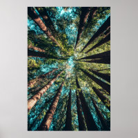Photographie en angle bas des arbres en journée
