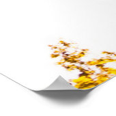 Poster Photographie en angle bas du palmier (Coin)