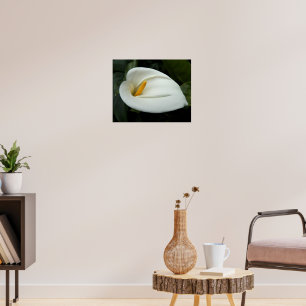 Poster Photographie florale blanche de Calla Lily