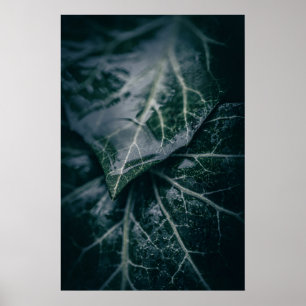 Poster Photographie florale d'ierre sombre et lunatique