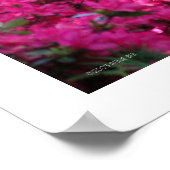 Poster Photographie florale du Rhododendron INTITULÉE (Coin)