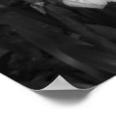 Poster Photographie Florale Noire Et Blanc (Coin)