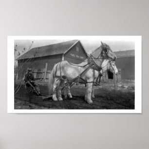 Poster Photographie historique de ferme de rangée