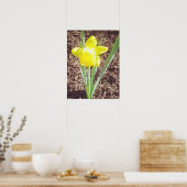 Poster Photographie jonquille du printemps jaune (Cuisine)