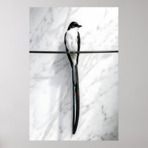 Poster Photographie minimaliste d'oiseau sur fil