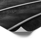 Poster Photographie noir et blanc de feuille de palme tro (Coin)