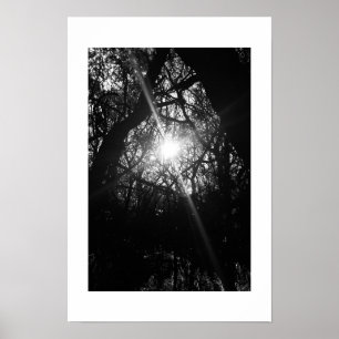 Poster Photographie noir et blanc de Hawaii