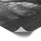 Poster Photographie noir et blanc de la forêt éffrayante (Coin)