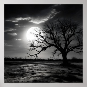Poster Photographie noir et blanc paysage lune
