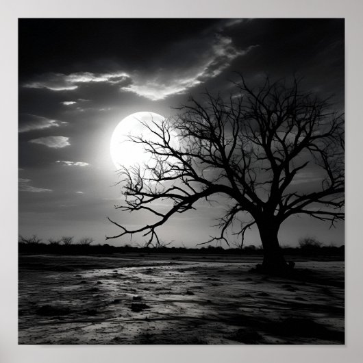 Poster Photographie noir et blanc paysage lune (Devant)