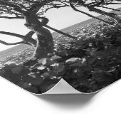 Poster Photographie noir et blanc Raisins marins (Coin)