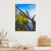 Poster Photographie pour VENTE - Imprimantes d'arbre broc (Cuisine)