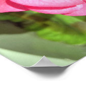 Poster Photographie rose florale (Coin)