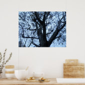 Poster Photographie Silhouette de l'arbre (Cuisine)
