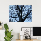 Poster Photographie Silhouette de l'arbre (Bureau à domicile)