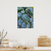 Poster Photographie Succulente Jour Cactus Stock (Cuisine)