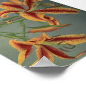 Poster Photographie vintage (Coin)