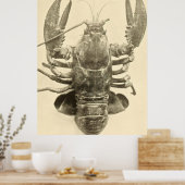 Poster Photographie vintage du homard du Maine (1895) 2 (Cuisine)