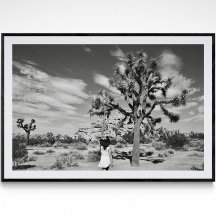 Poster photographique du parc national Joshua Tree