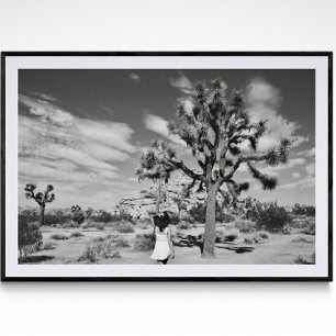 Poster photographique du parc national Joshua Tree