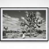 Poster photographique du parc national Joshua Tree