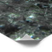 Poster Photomontologie (Coin)