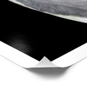 Poster Photos de Cockatiel d'Oiseaux Animaux (Coin)