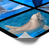Poster Photos de mosaïque de dauphins (Coin)