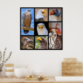 Poster Photos de mosaïque oiseaux de proie (Cuisine)