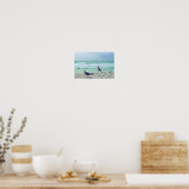 Poster Photos De Mouette Pose Pour Vous Plage Paysage Mar (Cuisine)
