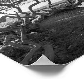Poster Photos de plage en noir et blanc (Coin)