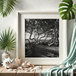 Poster Photos de plage en noir et blanc<br><div class="desc">Améliorez votre espace de vie avec la beauté tranquille de Jupiter Beach, en Floride, capturé dans ce magnifique mur d'art de Victoria Grigaliunas. Cette affiche photographique en noir et blanc présente les détails complexes des raisins marins, apportant une touche d'élégance côtière à votre décor maison. Parfaits pour les amoureux de...</div>