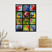 Poster Photos en mosaïque de perroquets (Cuisine)