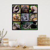 Poster Photos en mosaïque de singes (Cuisine)