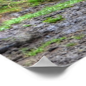 Poster Photos équines du cheval de Ranch de châtaignes en (Coin)