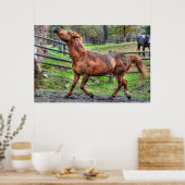 Poster Photos équines du cheval de Ranch de châtaignes en (Cuisine)