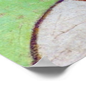 Poster Photos et marmites rouges de Still Life par van Go (Coin)