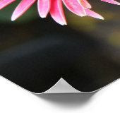 Poster Photos florales Verse sur la force de Dieu (Coin)