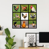 Poster Photos mosaïque de coqs et poules (Bureau à domicile)