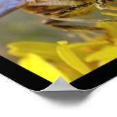 Poster Photos mosaïque d'insectes (Coin)