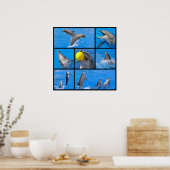 Poster Photos multiples de dauphins (Cuisine)