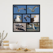 Poster Photos multiples de mouettes (Cuisine)